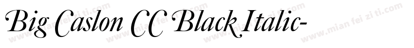 Big Caslon CC Black Italic字体转换